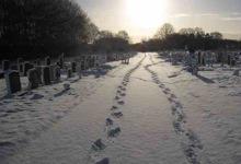 John S. Turner (Creative Commons Licensed)