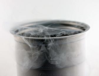 Aki Kamozawa and H. Alexander Talbot