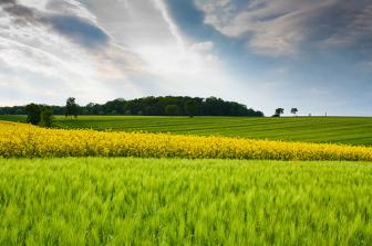 Shockmotion. Reproduced under a Creative Commons License.